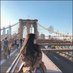 AuroraNewton (@gvypxqlar1422e3) Twitter profile photo AuroraNewton (@gvypxqlar1422e3) Twitter profile photo