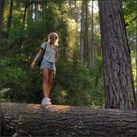 MyraWood (@b01m0t6b7q4ck2) 's Twitter Profile