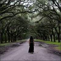 AnnTrollpoe (@q13kh88ce2xd3iv) 's Twitter Profile