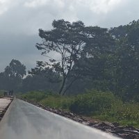 FreeThinker (@hwo1109) 's Twitter Profile
