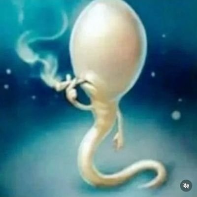 Kaox50351071's profile picture. normalizando jugar minecraft todo los días porfa