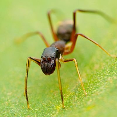 GumbleeDumblee's profile picture. 20