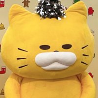 ひなこ♡ (@babyidollll) 's Twitter Profile