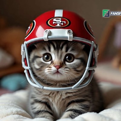Soy aficionado a Pumas de la UNAM, Me gusta la NFL y mi equipo es 49ers, Tan solo veo la vida con paso firme y siempre adelante. #FollowbackSeguro