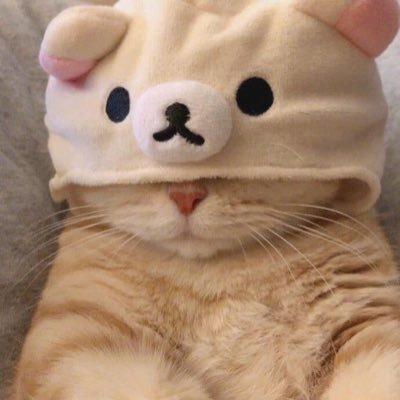 WAS @WhiteCatOsu 🐮@Rumia__a🐮
twitch→https://t.co/9u9lAopy2z
気持ちは初心者です