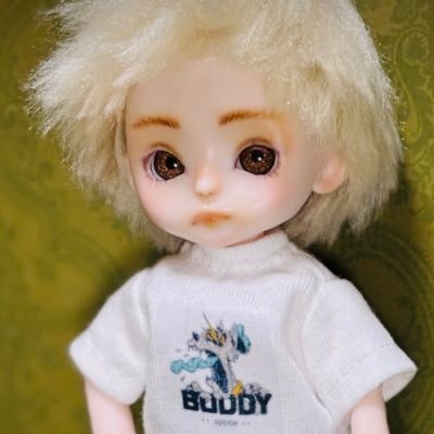 Chiezo(ししょー)さんのプロフィール画像