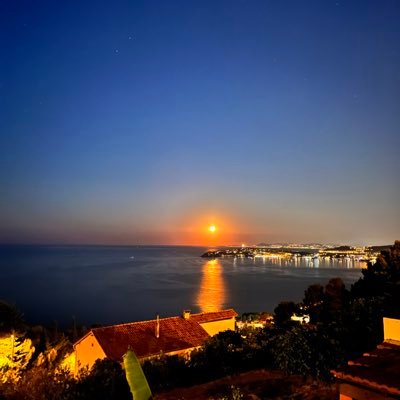 MehniLem's profile picture. 