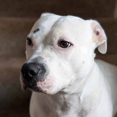 Ste. Profile