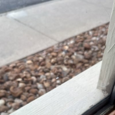 Roz_cc_tx's profile picture. Texas to Wyoming and back to Texas! I shall return Wyoming ❤️