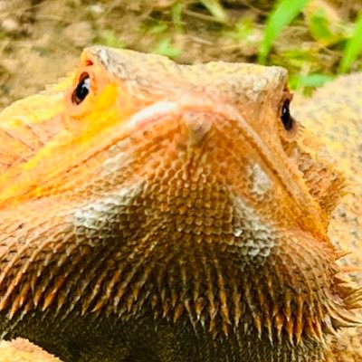 43838G's profile picture. 