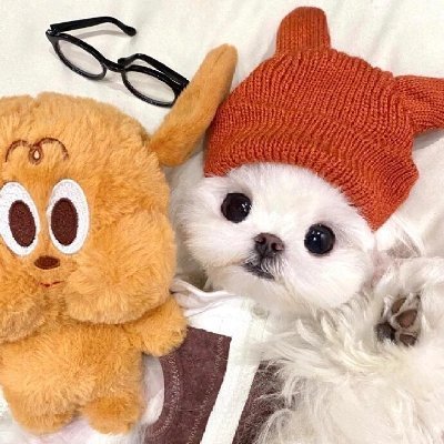 momoiro_techo's profile picture. きらきらじゃなくても、ちゃんと生きてる女の子🌾

静かな幸せがすきです☁️