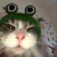 kah 🌈 (@r0seleaves) 's Twitter Profile Photo kah 🌈 (@r0seleaves) 's Twitter Profile Photo
