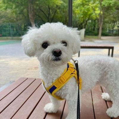 lulilikijs's profile picture. 