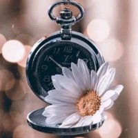 أمير الوائلي 🥀 (@amiralwaily) 's Twitter Profile Photo