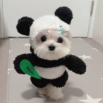 新しく始めました♪たまにボヤきますw許してください🥹無言フォロー失礼します