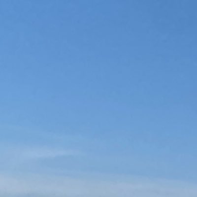 DDumeEE's profile picture. お疲れさまです🐍。ネクシードの橋爪です。よろしくお願いします。