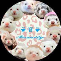 LUNA♡⃛ (@luna0610_love) 's Twitter Profile Photo