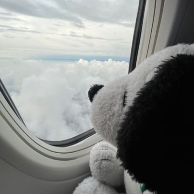 eeriensomnia's profile picture. 20 y.o | aroace enby agender lesbian | seasian |
I do art I think | repost w/ credits allowed | proship,ai/nfts dni