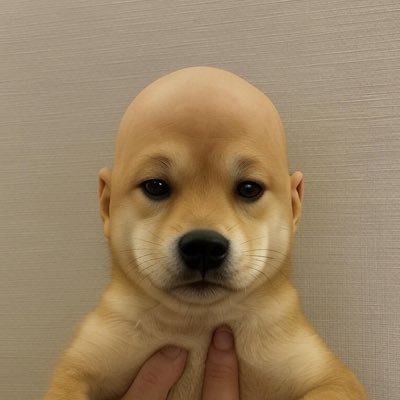 THE HAT CAME OFF 🥳 BXhVjDNucDJP2B8hZZbK4YtaVLjLdQ1PtW1ATcKrbonk
https://t.co/Ha1o74l2MU