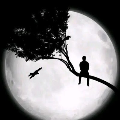 pepitelukengo's profile picture. 