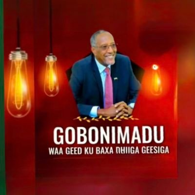 Somaliland 💚★❤️.🧕🏼 freedom is a powerful seed that was planted at a time of a great need. Thank you, to my SNM heroes. #Boycottdahabshiil 👌. freee🇵🇸