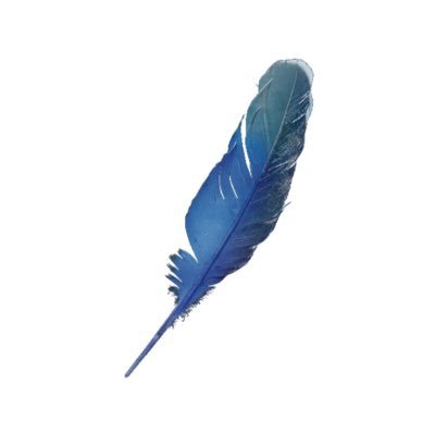 mutedbluebird's profile picture. 목격자로부터
