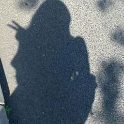 Riigbee7567820's profile picture. 