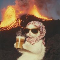 maximus Quant (@nfnf_neverdoom) 's Twitter Profile