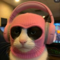 waltrs ✯ (@wqlts) 's Twitter Profile Photo waltrs ✯ (@wqlts) 's Twitter Profile Photo