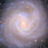 bozarslan64's profile picture. from the familiar world from space cowboy - modern Don Kişot