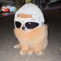 CRYPTONY (KORI ARC) (@antonio_cryptoo) 's Twitter Profile Photo CRYPTONY (KORI ARC) (@antonio_cryptoo) 's Twitter Profile Photo