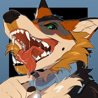 Anéjo Yote 🔜 MP, Furvana, AFC Profile