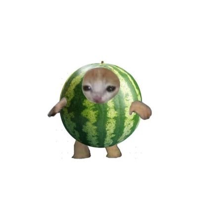 tarbujj's profile picture. 92% water 8% tweet energy