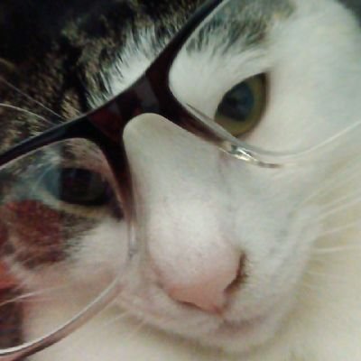 Ethan89366061's profile picture. I'm just a 14 year old my favorite YouTuber is coryxkeshin and I love kermit the frog