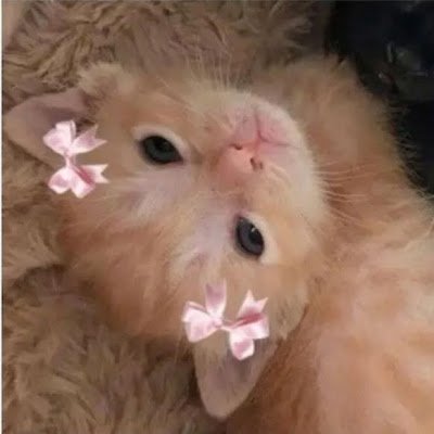 LlaveYanmi70106's profile picture. 