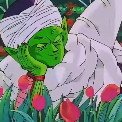 Dokkan and DBL enthusiestさんのプロフィール画像
