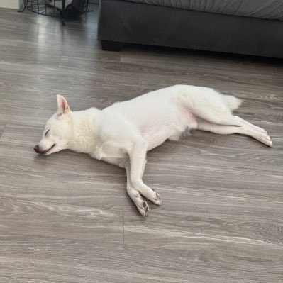 ahnsanity1's profile picture. Dodgers, Hoosiers, Trojans, Lakers (and by marriage, Wolverines