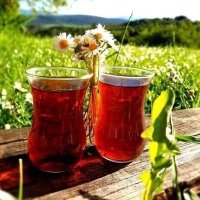 Çayla Düşünen Adam🫖 (@caykitapumut) 's Twitter Profile Photo