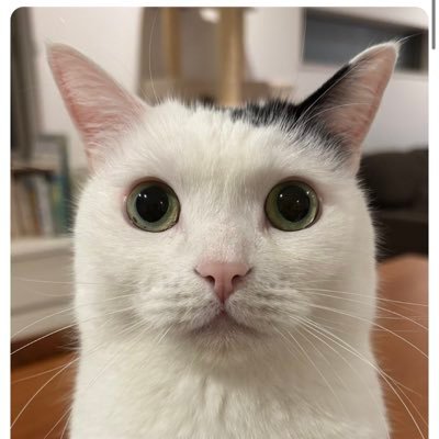 L5Uul4ikGH70130's profile picture. 都内大学生 05 海外サッカー、映画好き 文系から理系大学院志望 #勉強頑張る #フォロー返します #ゲーム #映画 #アニメ