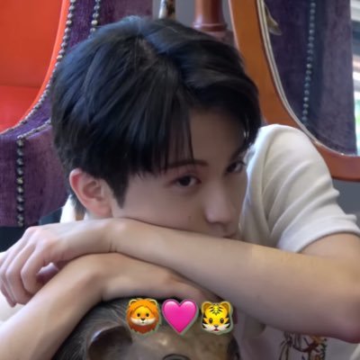 𓏔 ( ⭐️ ) You are the brightes star in my universe. #𝐓𝐇𝐄𝐆𝐎𝐑𝐁𝐎𝐑𝐗𝐂𝐀𝐑𝐃
