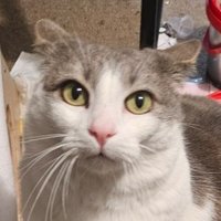 Salted Xanaxx (@saltedxanaxx) 's Twitter Profile