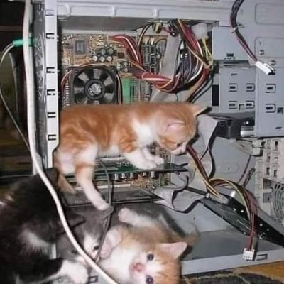 Web App Pentester (in the makes) || Age 13 | THM & HTB | Actively Learning.
https://t.co/wvvBgBETIb
https://t.co/KmcigzjmHs