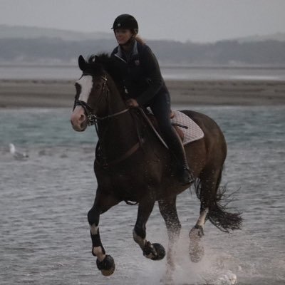 Freelance marketing consultant. Love animals, English wine, buying local. British Eventing volunteer