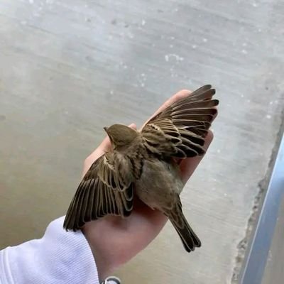 بكالوريس علاقات عامة واعلان  
الكلية الجامعية للعلوم التطبيقية 
الجامعة الإسلامية
حي التفاح
اطلبوا من الله على قدر ملكه لا على قدر أحلامكم .
 😍💪💙