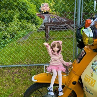 ドールと猫メイン垢気づいたらドール歴9年目ドール関係でのフォローフォロバとなります車バイクも挟みます。ハイゼット、CBR、C50カブ、アクティ主言葉足らず有り。道内あちこち走ってます！画像の無断転載禁止 Prohibition of unauthorized use of images mixi2とインスタ垢あります！