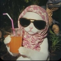 Barbie tex (-8 | 20) (@serhumanxo) 's Twitter Profile