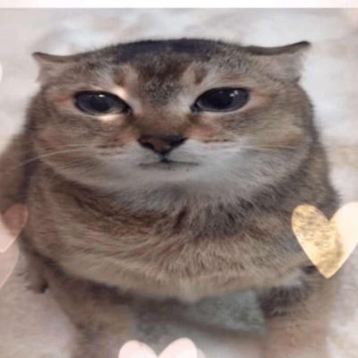 kinga95305990's profile picture. ok