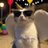 youqudemaotou's profile image