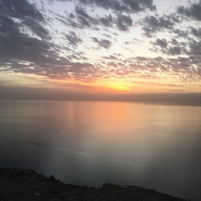 SOKÖ’yüm (sokak köpeği) Beni bulan ailenin bahçeli evinden ısrarla çıkmayan kiracıları yüzenden, geçici olarak bir şirkette kalıyorum. #EvimvarHakkımyok