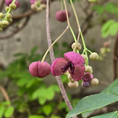 InDirectYKX's profile picture. Power-lust is a weed that grows only in the vacant lots of an abandoned mind.
Ayn Rand